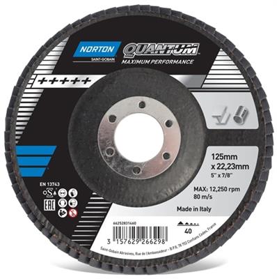 Flap Discs