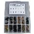 Carclips® Bolts Kit - Case of 120 Bolts