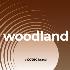 Cotec Woodland Waterbased Oil Stain: Clear - 4L