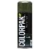 ColorPak Colour Steel Lacquer: Karaka - Aerosol
